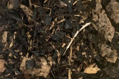 Firmaların başı sahteleri ile dertte