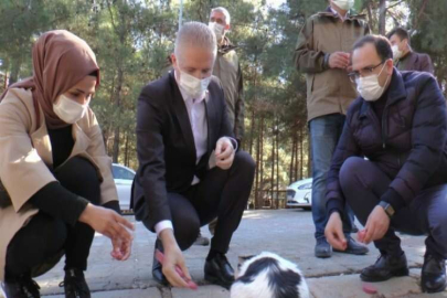 Vali Gül kısıtlamada sokak hayvanlarını yalnız bırakmadı