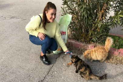 Zabıt katibi kedilerin umudu oldu