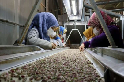 Gastronomi kentinden fıstık gibi müjde