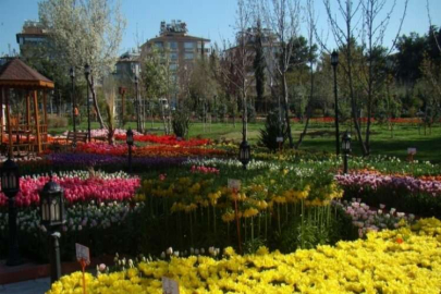 Botanik çalıştayı için başvurular 5 Mart’a kadar devam edecek