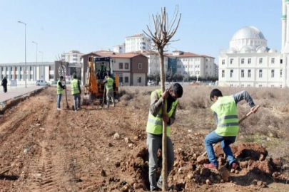 ŞAHİNBEY BELEDİYESİ 4.215.000 AĞAÇ DİKTİ