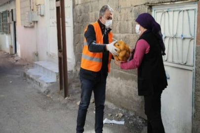 Pandemi mağduru vatandaşlara 750 ton patates desteği