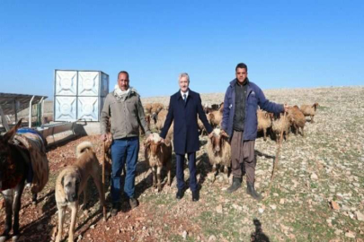 Tahmazoğlu, hayvancılık için açılan su kuyularını inceledi