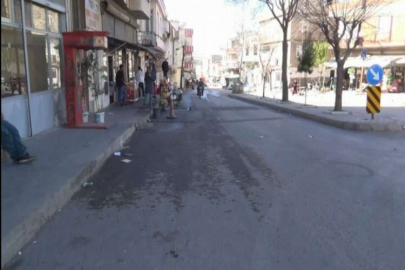 Gaziantep’te pitbull kavgası: 1 yaralı