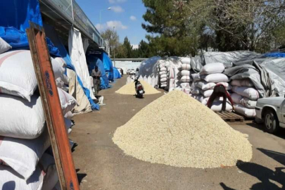 Antep fıstığında fiyatlar düşüyor
