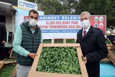 ŞAHİNBEY BELEDİYESİ’NDEN ÇİFTÇİLERE FİDE