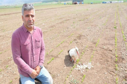 Muhtardan yaralı leylek nöbeti