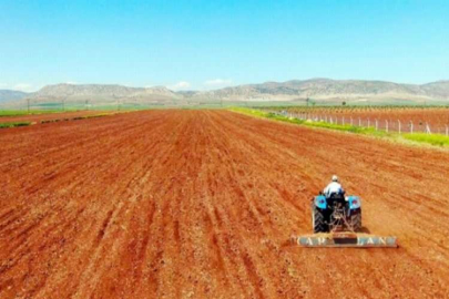 Güneydoğu'nun tahıl ambarında kalkınma kooperatifi kuruldu