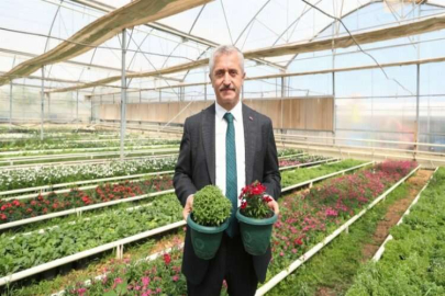Her yıl 2 milyon çiçek üretiliyor