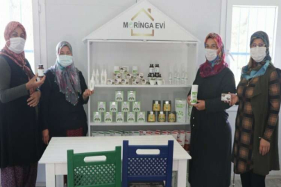 Moringa bitkisi sayesinde iş kadını oldular