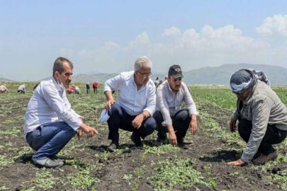 NURDAĞI BELEDİYESİ BİBERİN MARKALAŞMASI İÇİN HAREKETE GEÇTİ