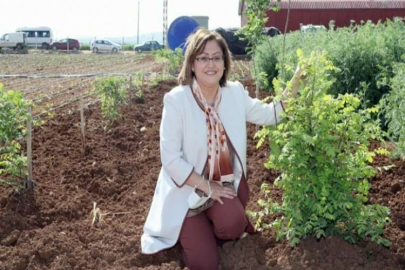 Büyükşehir tarıma önem veriyor