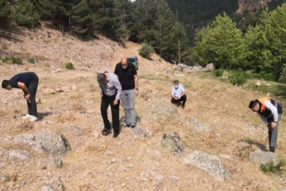 İslahiye’de çekirge istilası sona erdi