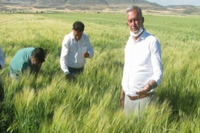 Araban’da süne uyarısı