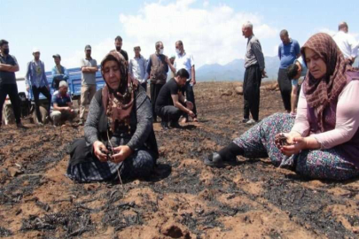 Yangında zarara uğrayan çiftçiler destek istedi