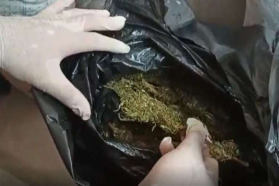 Bağ evinde 10 kilo 880 gram esrar ele geçirildi