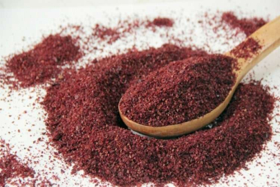 ‘ANTEP SUMAĞI’ TESCİLLENDİ