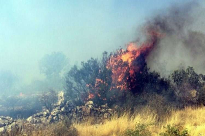 Gaziantep’te orman yangını