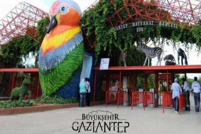 Hayvanat bahçesi ziyarete kapatıldı