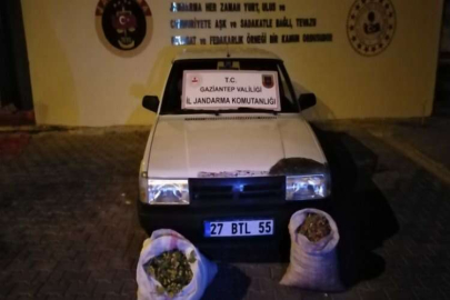 Fıstık hırsızları suçüstü yakalandı