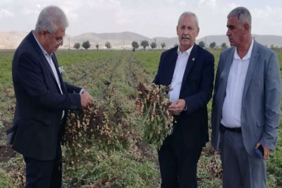 Kaplan üreticinin yanında