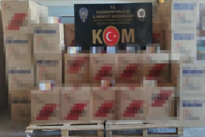 Gaziantep merkezli 4 ilde makaron operasyonu