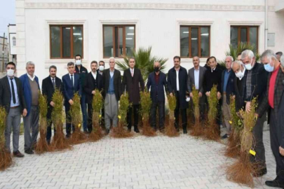 60 bin adet nar fidanı dağıtıldı