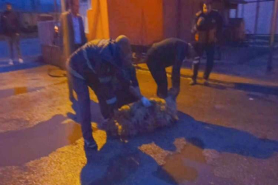 Gölbaşı Belediye İtfaiyesi kazalara karşı kurban kesti