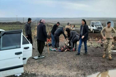 Kamyon ile otomobil çarpıştı: 6 yaralı