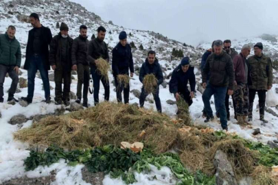 Karla kaplı dağlara yaban hayvanları için yem bıraktılar