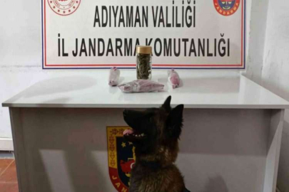 Jandarma uyuşturucuya geçit vermiyor