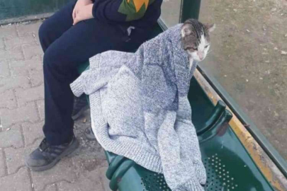 Soğukta üşüyen kediyi hırkasıyla ısıtmaya çalıştı