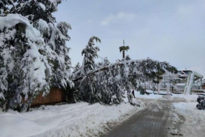 Gaziantep’te kar yağışının bilançosu ağır oldu