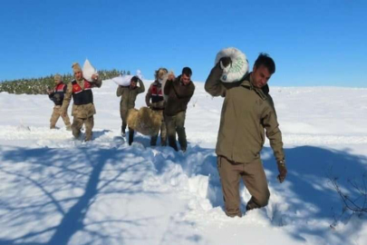 Yaban hayvanları için doğaya yem bıraktılar