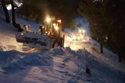 Yaylada mahsur kolan çoban ve hayvanlarını ekipler kurtardı