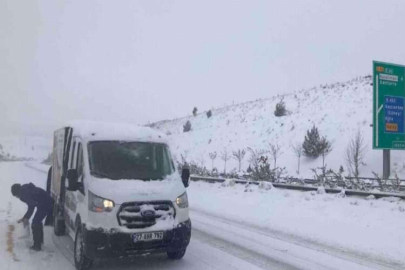 Büyükşehir Belediye ekipleri sokak hayvanlarını unutmadı