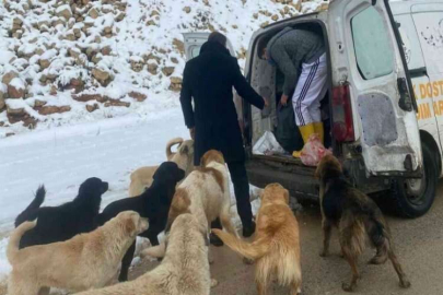 Cahide karda can dostların yanında