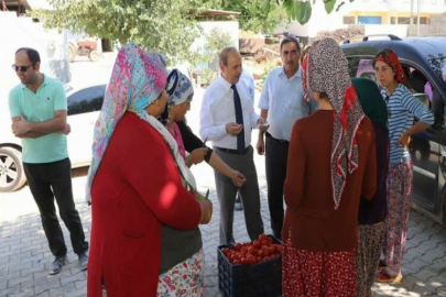 Kılıç’tan 8 Mart Dünya Kadınlar Günü mesajı