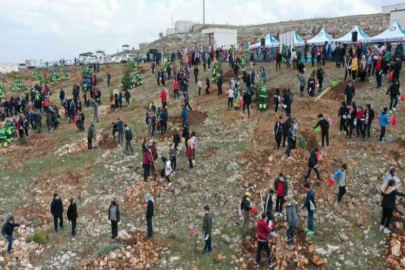 Şahinbey’de 3 milyon 968 bin fidan toprakla buluşturuldu