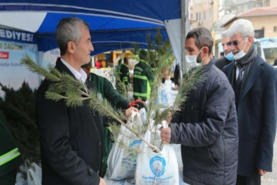 Şahinbey’de 150 bin çam fidanı dağıtıldı