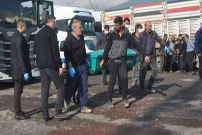 Tır Sürücüsü park halindeki aracının içinde ölü bulundu