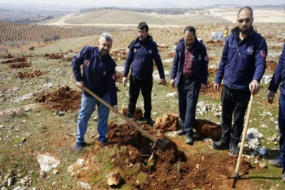 10 bin fidan toprakla buluştu