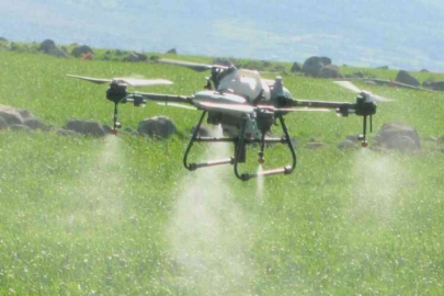 Araban’da sarımsak tarlaları dronla ilaçlandı