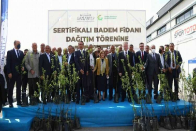 Yavuzeli çiftçisine 20 bin badem fidanı dağıtıldı