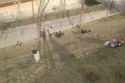 Çocukların çimende kayak keyfi