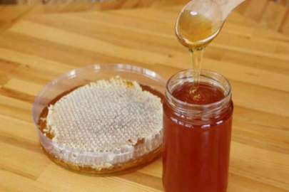 GTB Antep zahter balını tescilledi