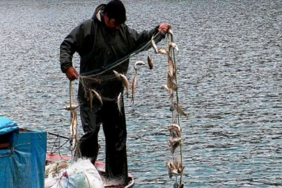 Menzelet Barajı balıkçıların ekmek teknesi