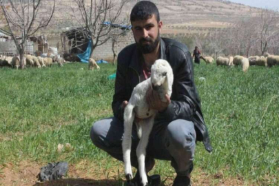 Ön 2 ayağı olmayan kuzu dünyaya geldi