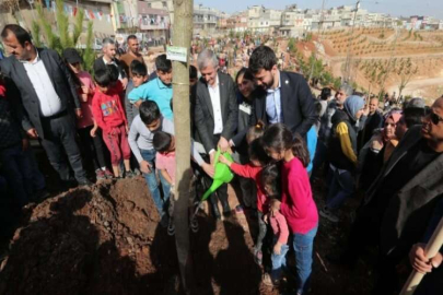 Şahinbey’de ağaçlandırma çalışmaları devam ediyor